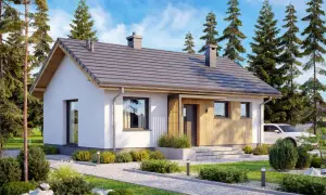 Nowoczesny dom 70m2 z drewnianymi elementami, otoczony zielenią i sosnami. Biała elewacja, szary dach, duże okna.