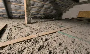 Gruba warstwa celulozy ocieplenie na poddaszu, widoczne drewniane belki konstrukcyjne i folia paroizolacyjna.