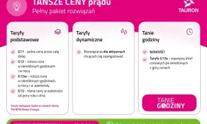 Porównanie taryf prądu: podstawowe, dynamiczne i tanie godziny. Sprawdź, która taryfa urzędowa Energa jest dla Ciebie najlepsza.