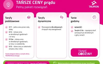 Tauron oferuje taryfy prądu: podstawowe (G11, G12, G12w, G13), dynamiczne i tanie godziny, w tym nowość: taryfa G13s.
