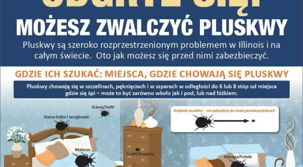 Czy pluskwy przechodzą z mieszkania do mieszkania? Sprawdź, jak się chronić
